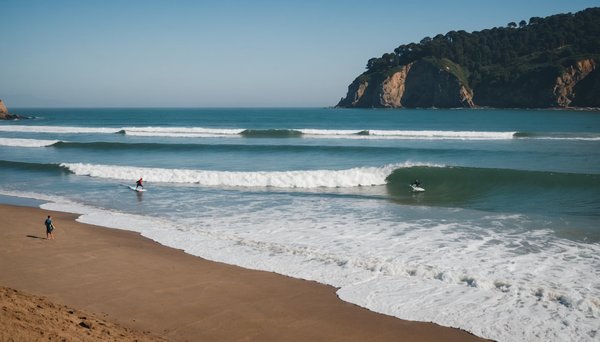 Comment apprendre le surf : découvrez l'école de hendaye